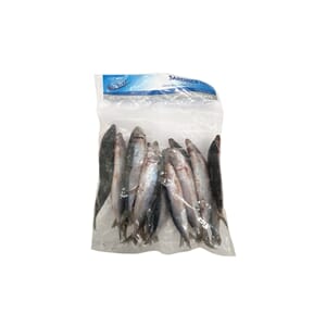 Sardiner 13/15 Rå Hel 10x1kg