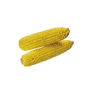 Corn Cooked Art nr 2511 10x1kg