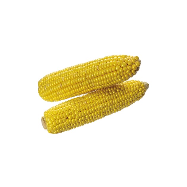 10669 MAISKOLBER KOKT 3-4STK 10X1KG.jpg