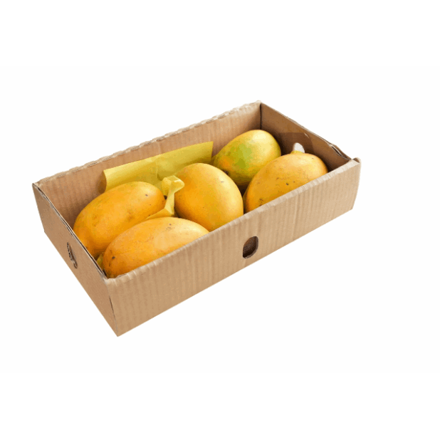 Fersk mango .png